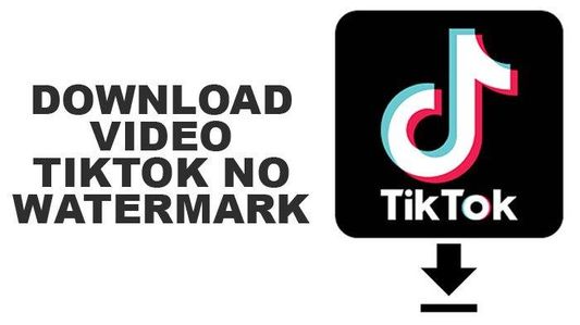 TikTok Video Downloader No Watermark: Best Free Tools to Download Single Videos or Bulk Download Full TikTok Profiles