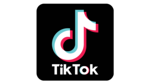 TikTok Video Downloader